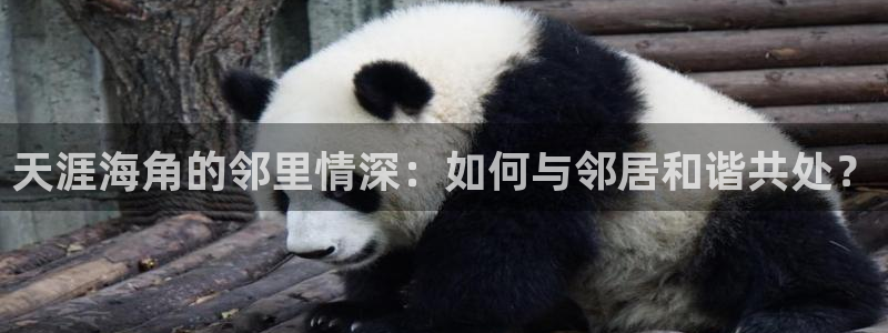 海角社区论坛账号共享