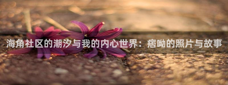 海角海角社区海角bba