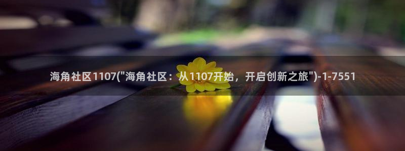 海角社区老是网络延迟