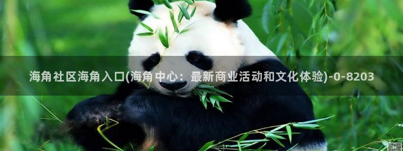 海角社区电脑怎么进