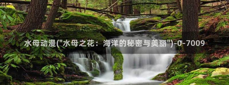 水母动漫