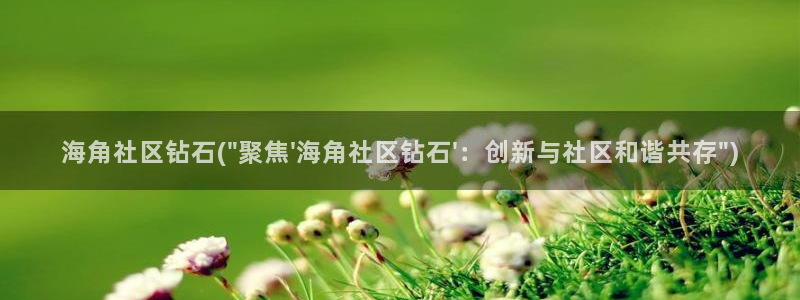 谁有海角社区的链接:海角社区钻石(\