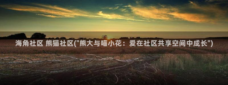 海角社区破解版网址:海角社区 熊猫社区(\