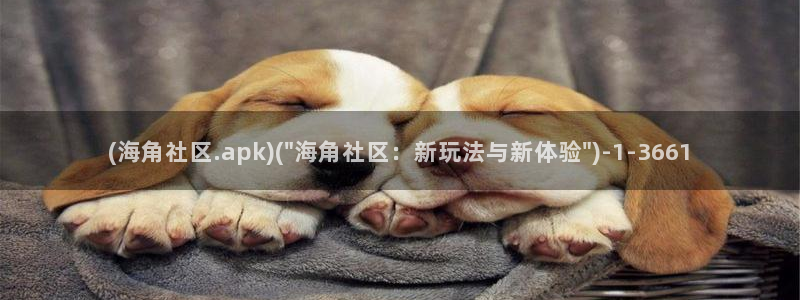 海角社区侄子海角：(海角社区.apk)(\