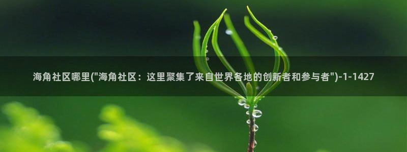 海角社区 子：海角社区哪里(\