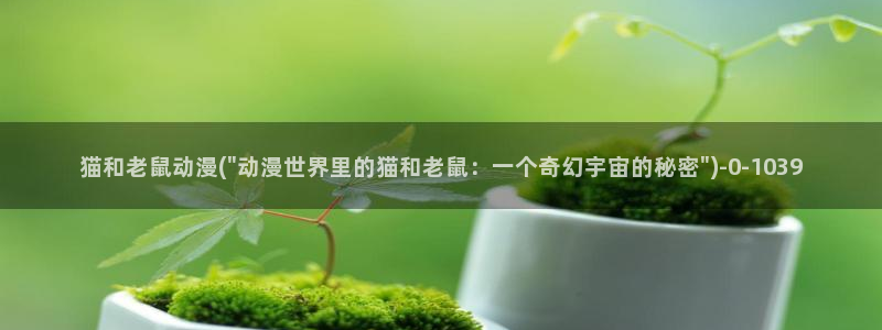 91动漫