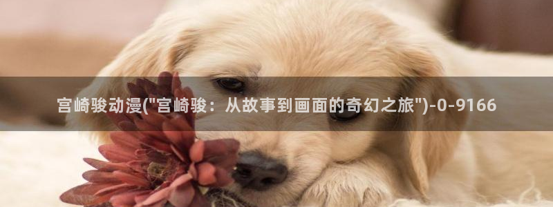 未来日记动漫