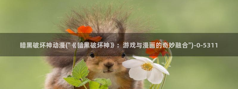 动漫解说