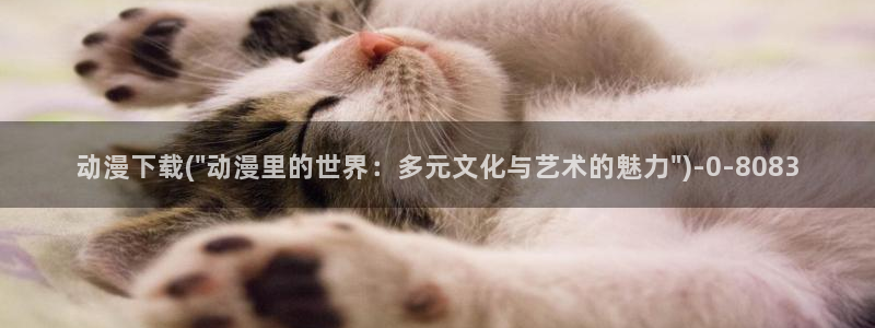 海贼王动漫