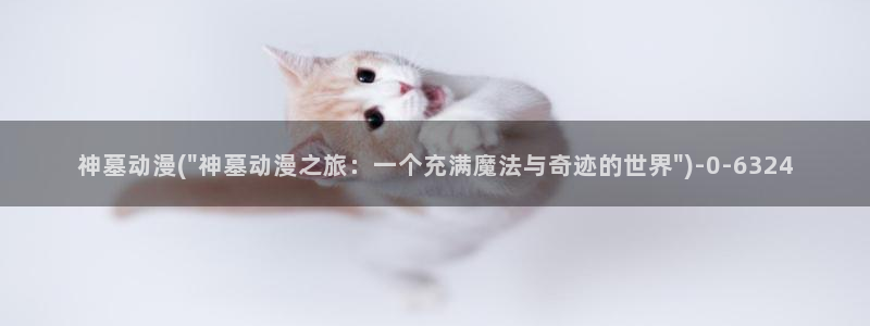 动漫屋
